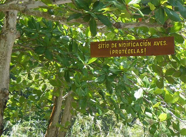 Always protect the nature!